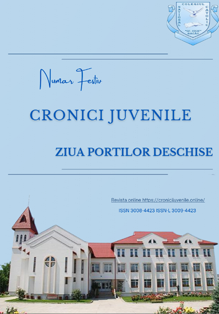 Numar Aniversar Ziua Portilor Deschise 2026